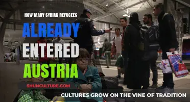 Syrian Refugees: Austria's Arrival Count and Impact