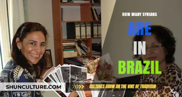 Syrian Migration to Brazil: Exploring the Growing Community's Presence
