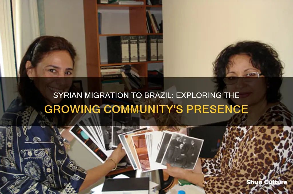 how many syrians are in brazil