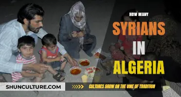 Syrian Refugees in Algeria: Population Insights and Integration Efforts