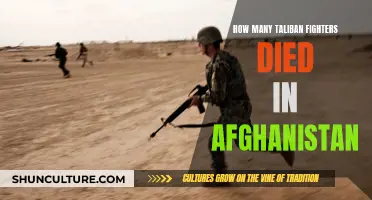 The Human Cost of War: Examining Taliban Fighter Casualties in Afghanistan