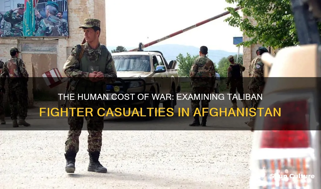 how many taliban fighters died in afghanistan