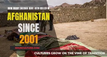 The Human Cost of War: Examining Taliban Casualties in Afghanistan since 2001