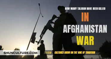 The Human Cost of War: Examining Taliban Casualties in Afghanistan