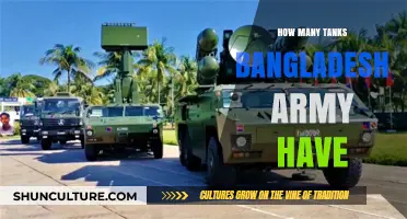 Bangladesh Army's Tank Fleet: Strength, Types, and Operational Capabilities