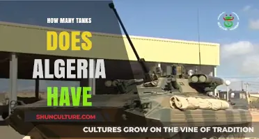 Algeria's Armored Might: Exploring the Size of Its Tank Fleet