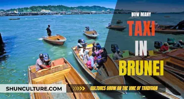 The Many Taxis of Brunei: A Comprehensive Count