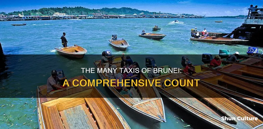 how many taxi in brunei