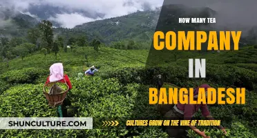 Exploring Bangladesh's Tea Industry: Counting the Companies Brewing Tradition