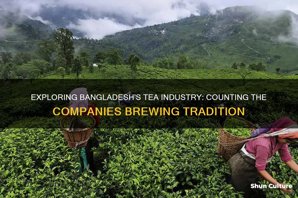 how many tea company in bangladesh