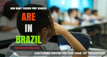Exploring Brazil's Teacher Prep Schools: A Comprehensive Count and Overview