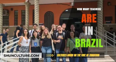 Exploring Brazil's Education System: The Number of Teachers in Brazil