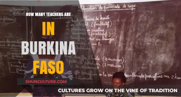 Exploring Education: A Glimpse into Burkina Faso's Teaching Workforce