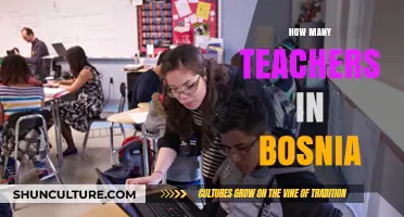 Exploring Bosnia's Education System: Teacher Numbers and Insights