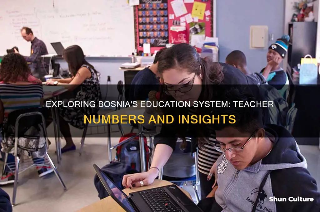 how many teachers in bosnia