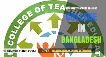 Exploring Bangladesh's Teacher Training Colleges: Numbers and Insights