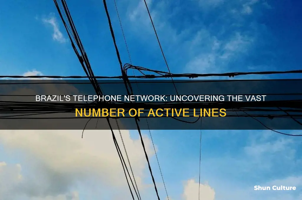 how many telephone lines are there in brazil