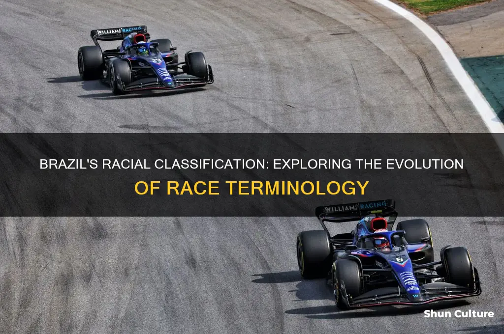 how many terms for race did brazil have