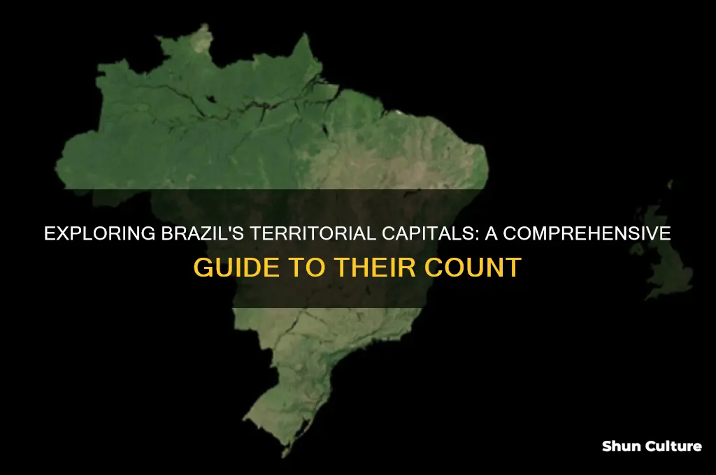 how many terrotorial capitals are in brazil