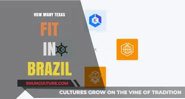 Comparing Texas to Brazil: How Many Times Does It Fit?