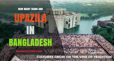 Exploring Bangladesh's Administrative Divisions: Thanas and Upazilas Counted