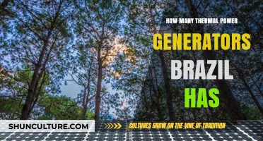 Brazil's Thermal Power Generation: Counting the Country's Active Plants
