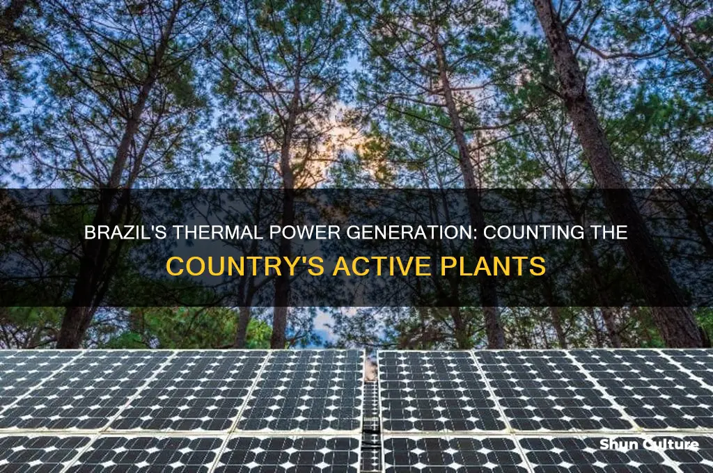 how many thermal power generators brazil has