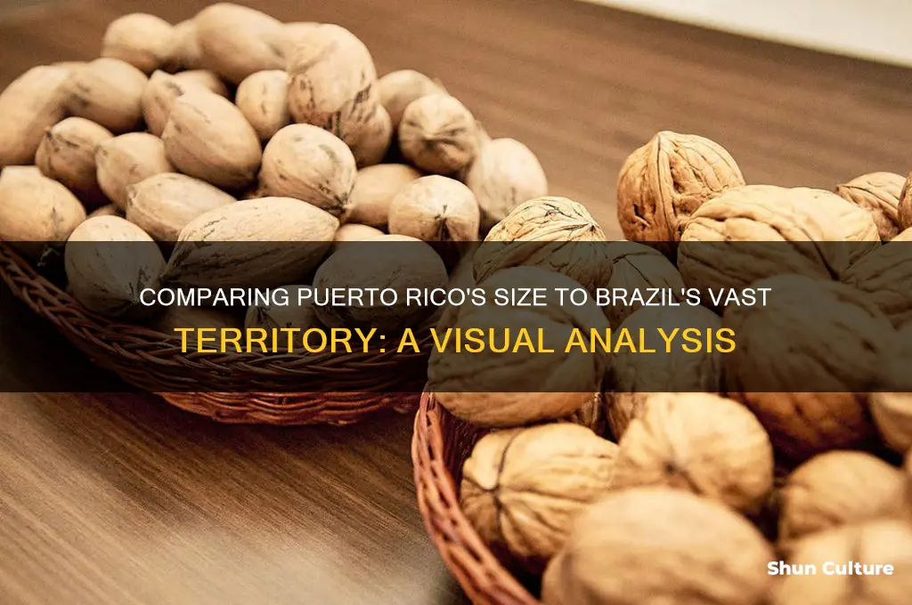 how many times can puerto rico fit in brazil