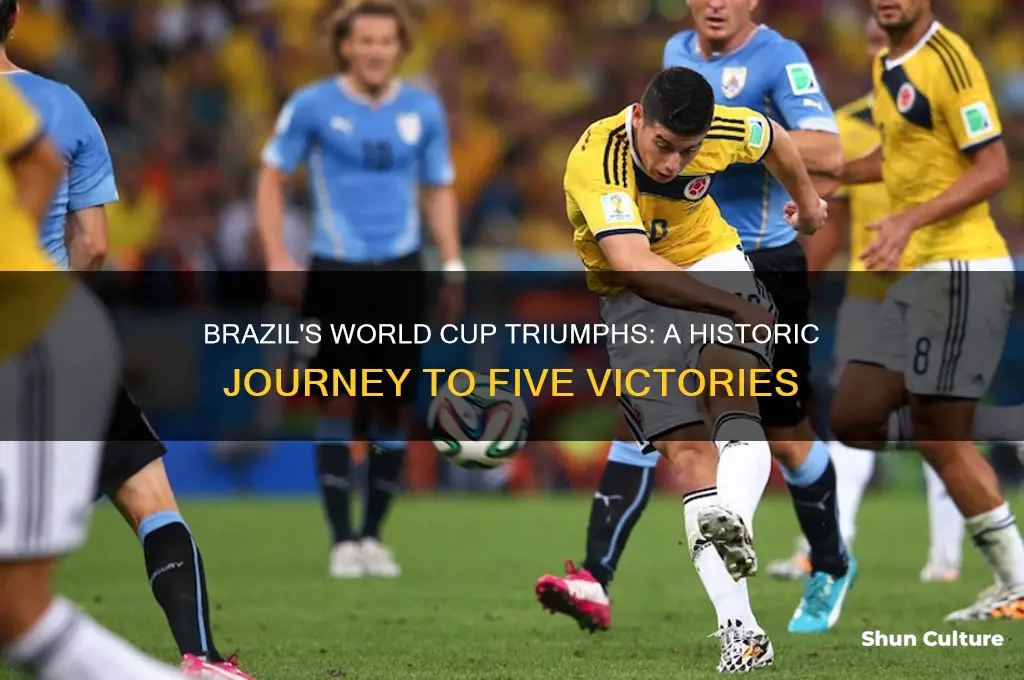 how many times did brazil win world cup
