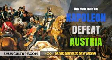 Napoleon's Dominance: The Countless Battles Against Austria