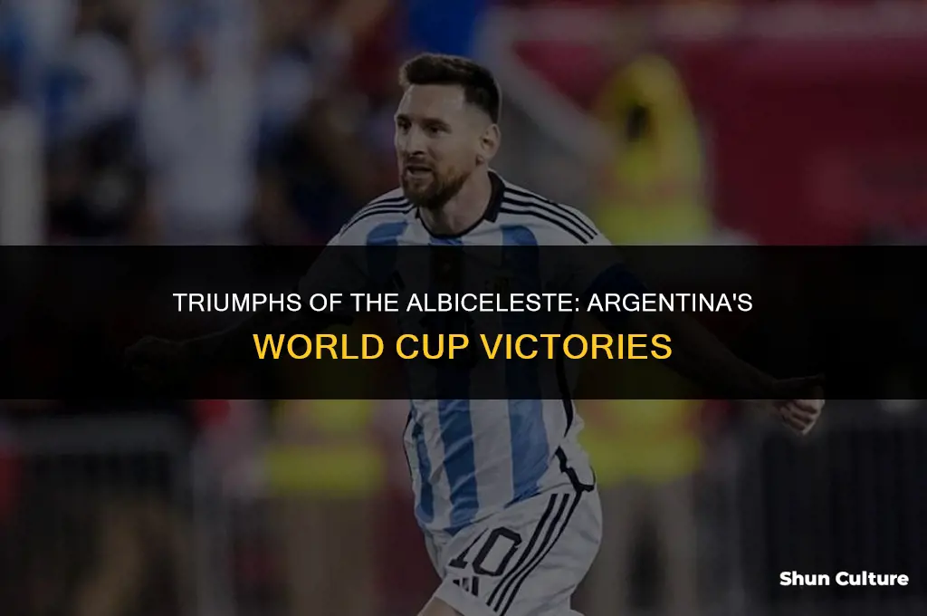how many times has argentina won world cup