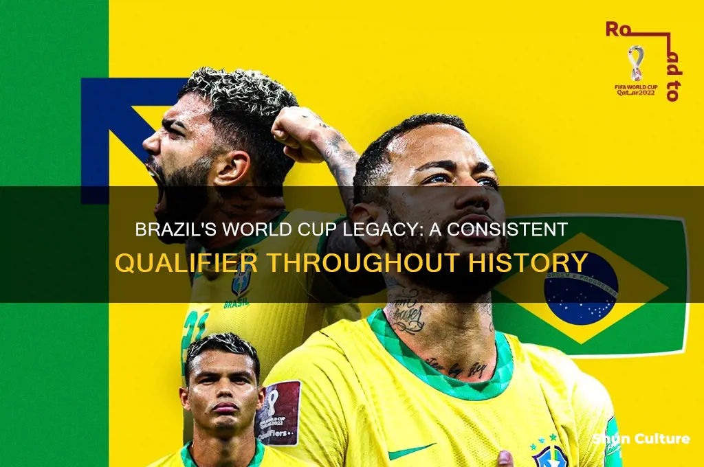 how many times has brazil qualified for the world cup