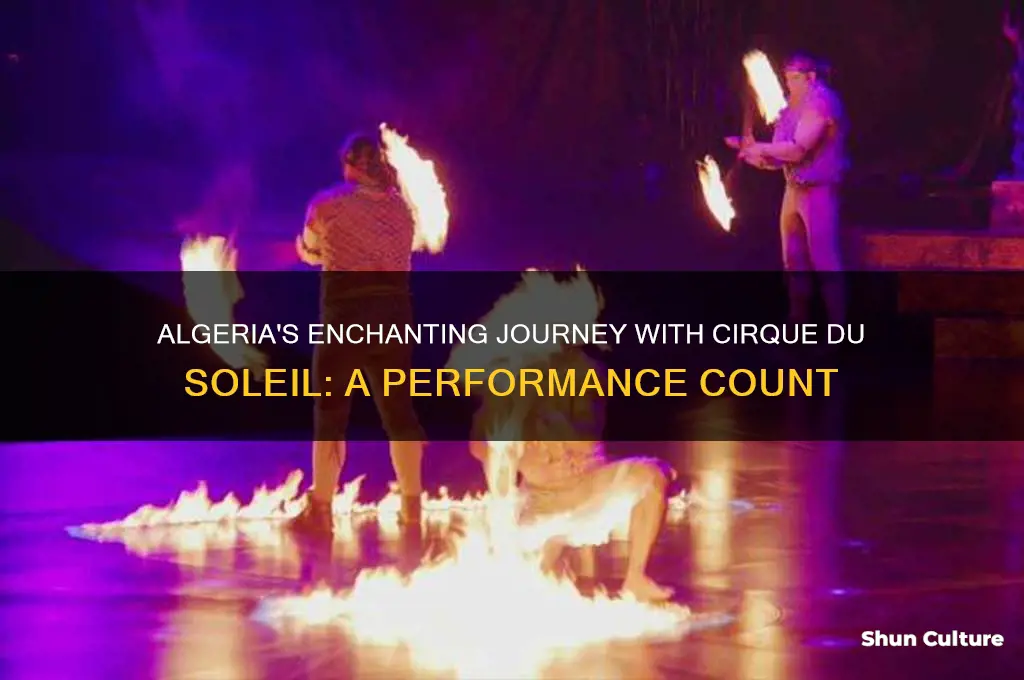 how many times have algeria cirque du soleil