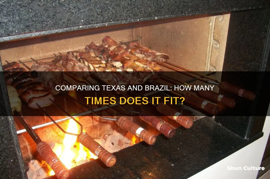 how many times will texas fit inot brazil