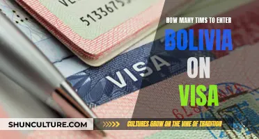 Exploring Bolivia: Multiple Entries on a Tourist Visa?