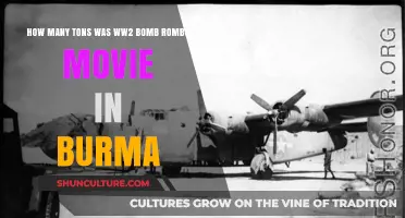 Explosive Revelations: Uncovering the Tons of WWII Bombs in Burma