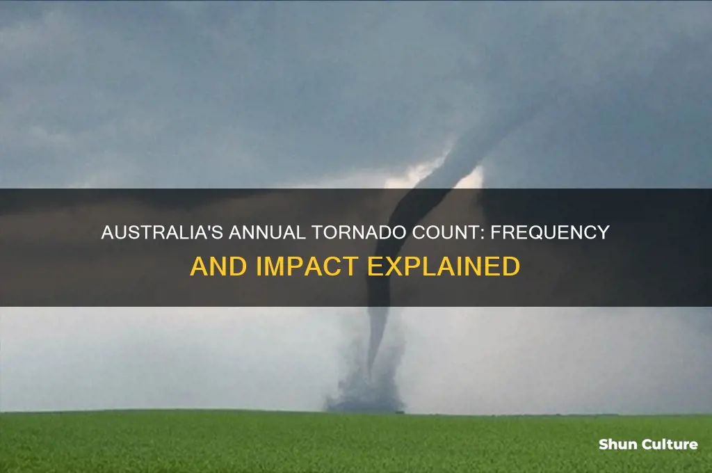 how many tornadoes are in australia in a year