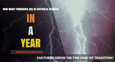 Australia's Outback Tornado Frequency: Annual Count and Insights