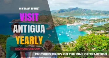 Discovering Antigua's Annual Tourist Numbers: A Yearly Visitor Breakdown