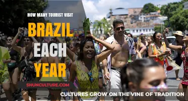 Exploring Brazil's Annual Tourist Influx: A Yearly Visitor Count