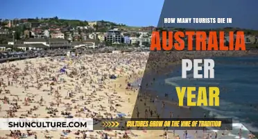 Annual Tourist Fatalities in Australia: Understanding the Risks and Statistics