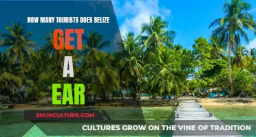 Belize's Annual Visitor Influx