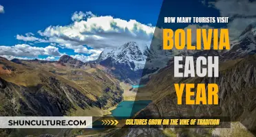 Exploring Bolivia: Annual Tourist Attraction Statistics