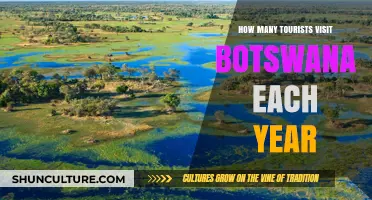 Botswana's Annual Tourist Numbers: A Surprising Travel Trend Revealed