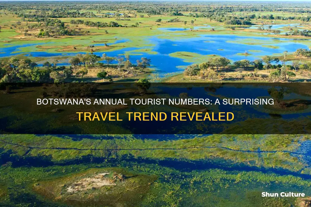 how many tourists visit botswana each year