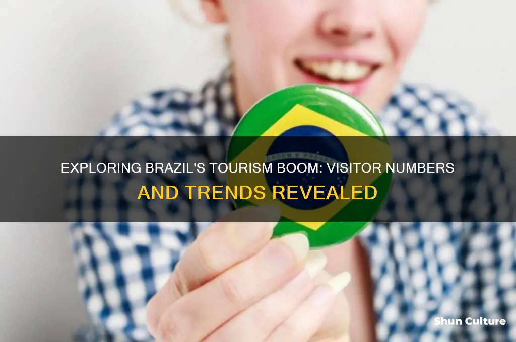 how many tourists went to brazil