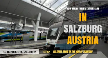 Salzburg's Train Network: Unveiling the Hub of Austrian Connectivity