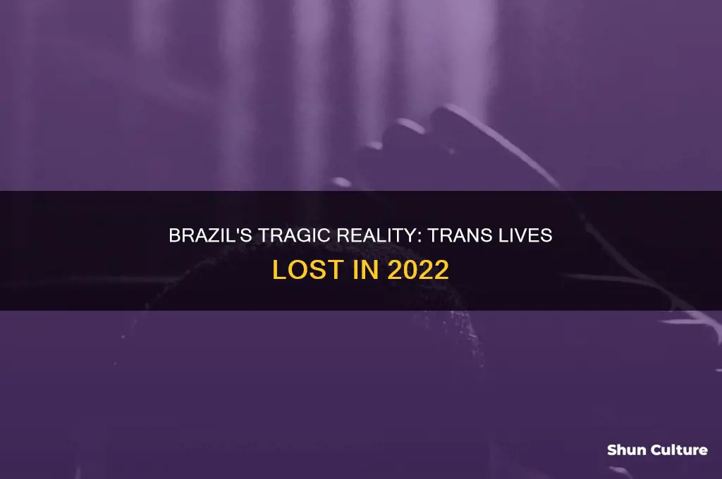 how many trans people were killed in brazil last year