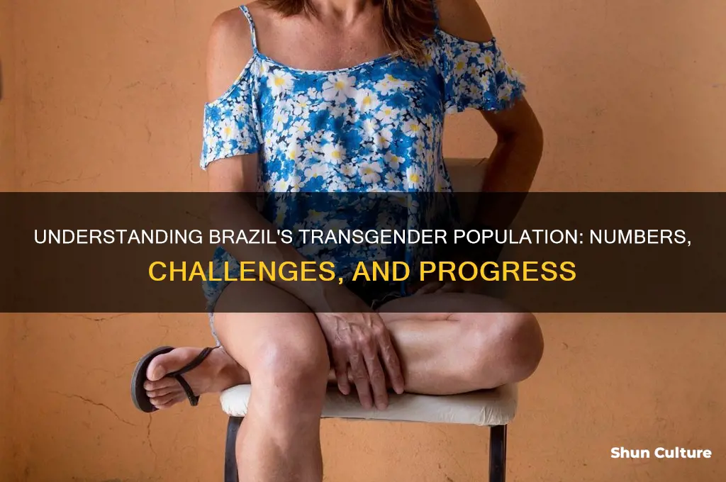 how many transgender in brazil
