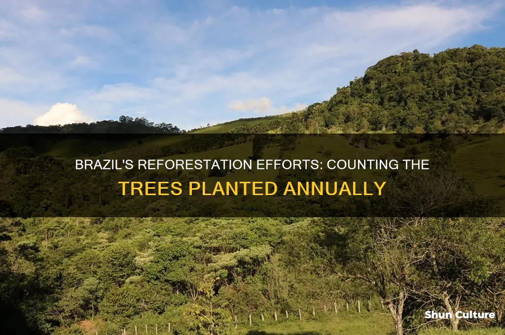 how many trees are being planted in brazil